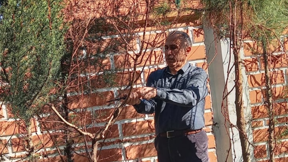 Değerli Müdürümüz  Mehmet Şirin Temiz Okuldaki Ağaçları Budadı